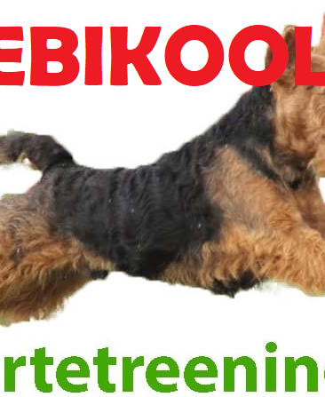 Dog Training Estonia ON-LINE veebikool