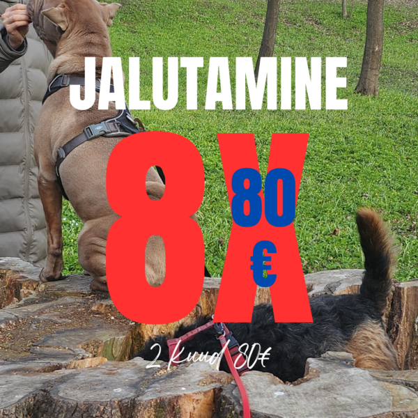 Sots.jalutamine 8x