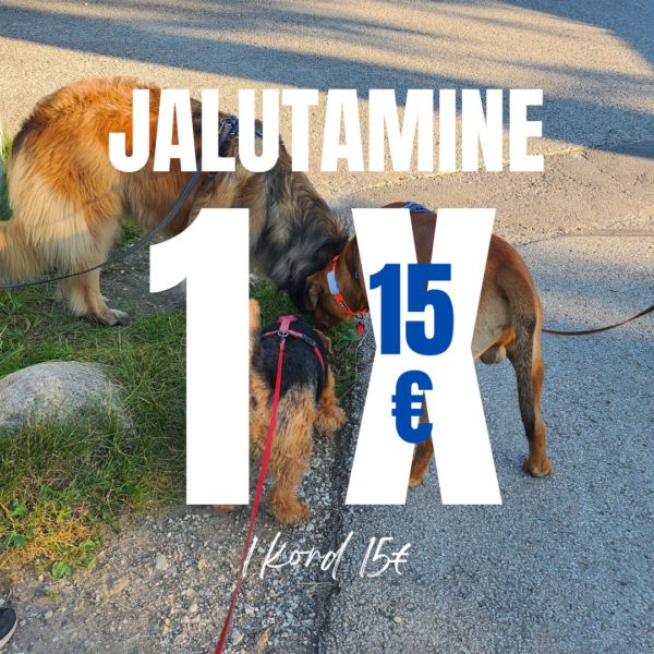 Sots.jalutamine 1x