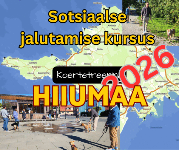 2026 Sotsiaalse jalutamise kursus - HIIUMAA