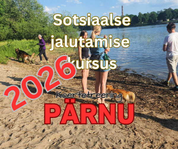 2026 Sotsiaalse jalutamise kursus - PÄRNU