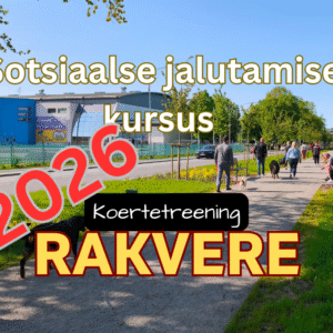 2026 Sotsiaalse jalutamise kursus - RAKVERE