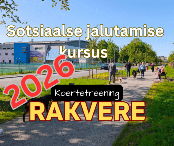 2026 Sotsiaalse jalutamise kursus - RAKVERE