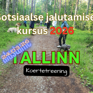 Sotsiaalse jalutamise kursus - TALLINN 2026