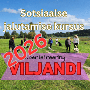 2026 Sotsiaalse jalutamise kursus - VILJANDI