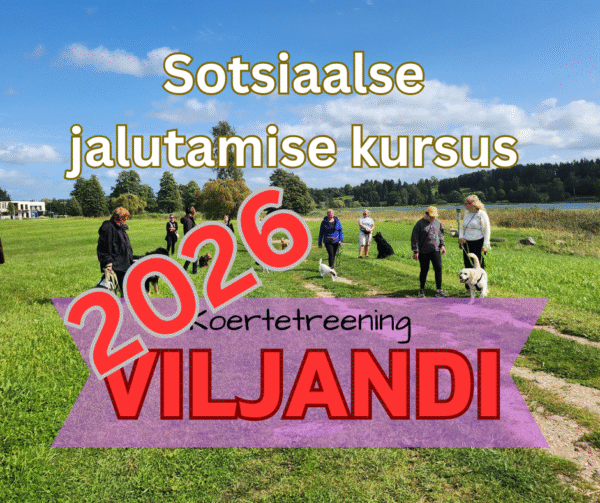 2026 Sotsiaalse jalutamise kursus - VILJANDI