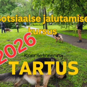 2026 Sotsiaalse jalutamise kursus - TARTUS