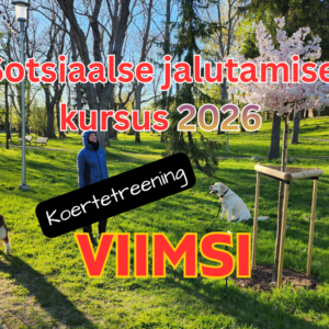 Sotsiaalse jalutamise kursus - VIIMSI 2026